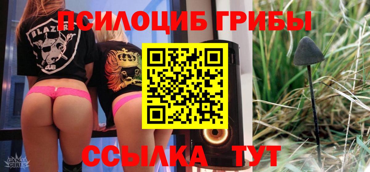 Псилоцибиновые грибы MAGIC MUSHROOMS  Псилоцибиновые грибы ЛСД  Тосно  купить наркотики сайты  Вход с VPN 