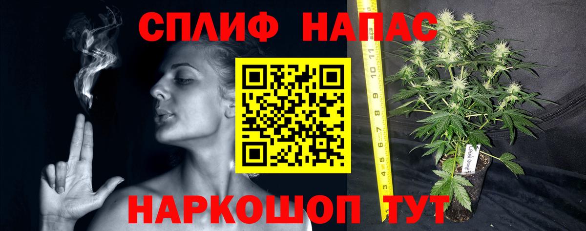 Каннабис AK-47  Бошки Шишки THC 21%  Тосно  Вход с VPN  МАРИХУАНА семена 